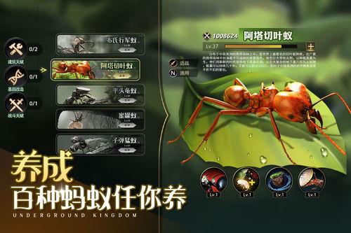 小小蚁国最新活动爆料,揭秘最新活动亮点与福利大放送！